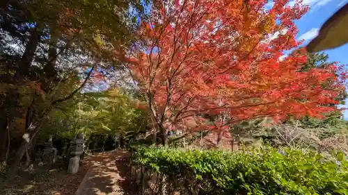 十輪寺(京都府)