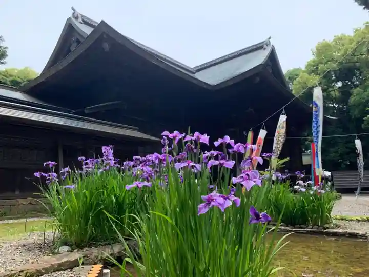 府八幡宮の自然