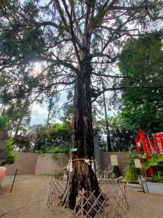 下神明天祖神社(東京都)