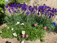 知立神社の自然