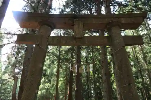 隠津島神社の鳥居