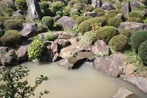 大藏經寺の庭園