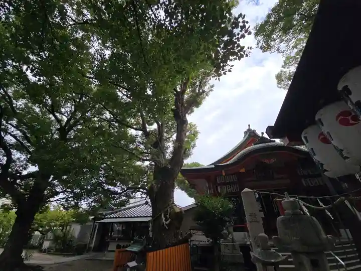 我堂八幡宮(大阪府)