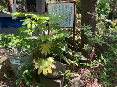 光明寺(神奈川県)