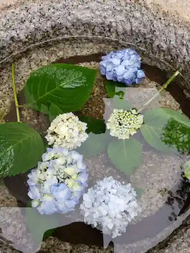 皆中稲荷神社の手水舎