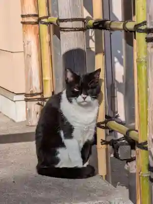 白金氷川神社(東京都)