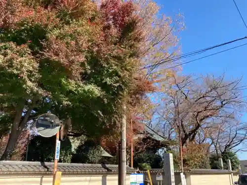 大円寺のその他建物