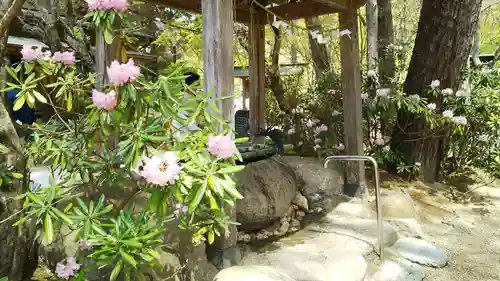 徳善院明王密寺の手水舎