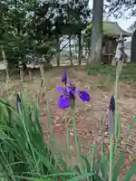 伏木香取神社(茨城県)