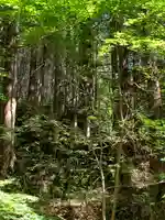 白山比咩神社の自然