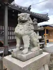 高砂神社の狛犬