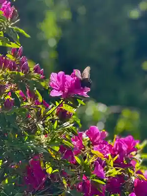 長谷寺(奈良県)