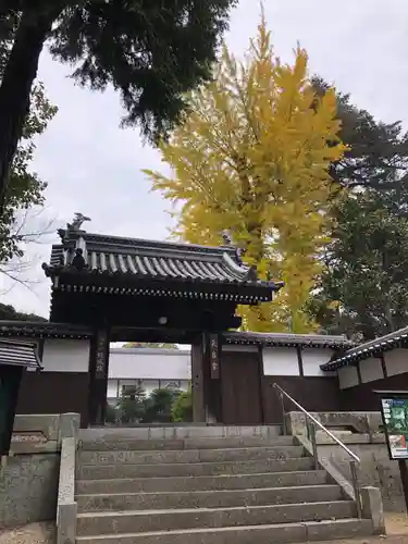 龍城院の山門