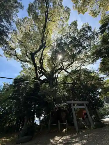 松阪神社の{uncategorized: "未分類", other: "その他", undefined: "問題あり", building: "その他建物", grave: "お墓", sacred_gate: "鳥居", guardian: "狛犬", statue: "像", buddha: "仏像", history: "歴史", nature: "自然", garden: "庭園", animal: "動物", pagoda: "塔", temizu: "手水舎", mountain_gate: "山門・神門", sanctuary: "本殿・本堂", subordinate: "末社・摂社", art: "芸術", scenery: "景色", jizo: "地蔵", ema: "絵馬", goshuin: "御朱印", omikuji: "おみくじ", items: "授与品その他", amulet: "お守り", goshuincho: "御朱印帳", eats: "食事", festival: "お祭り", votive_dance: "神楽", shichigosan: "七五三参", wedding: "結婚式", experience: "体験その他", initially: "初詣", around: "周辺", anti_infection: "感染症対策"}