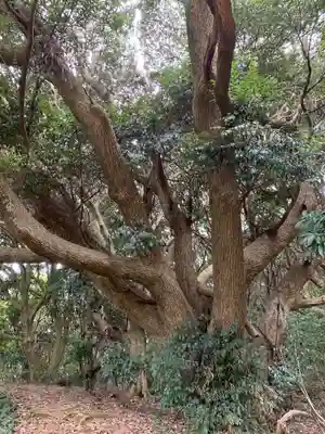 猿田神社の自然