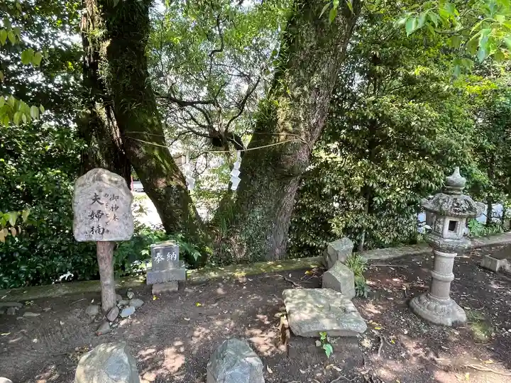 幸福神社(宮崎県)