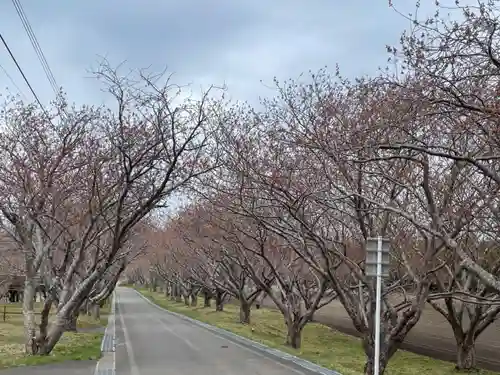 石崎地主海神社の周辺