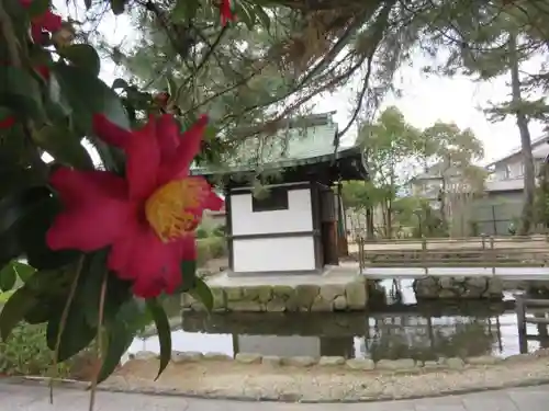 喜光寺のその他建物