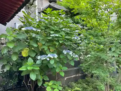 成就院(東京都)