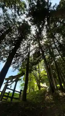 子檀嶺神社(長野県)