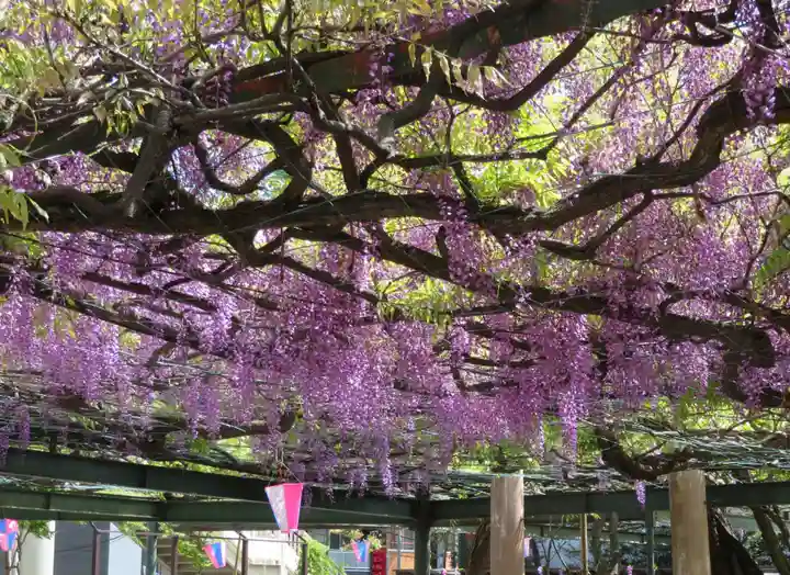 國領神社の自然
