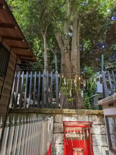 太子堂八幡神社(東京都)