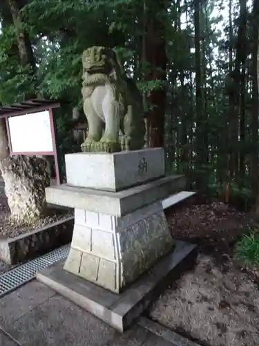 白和瀬神社の狛犬