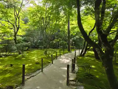 慈照寺（慈照禅寺・銀閣寺）(京都府)