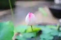 浄土寺(兵庫県)