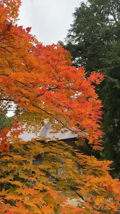 国上寺(新潟県)