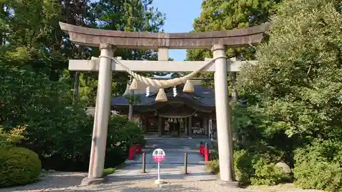 越中一宮 髙瀬神社の鳥居