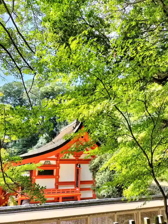 出雲大神宮の本殿・本堂