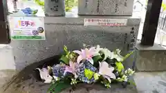 手稲神社(北海道)