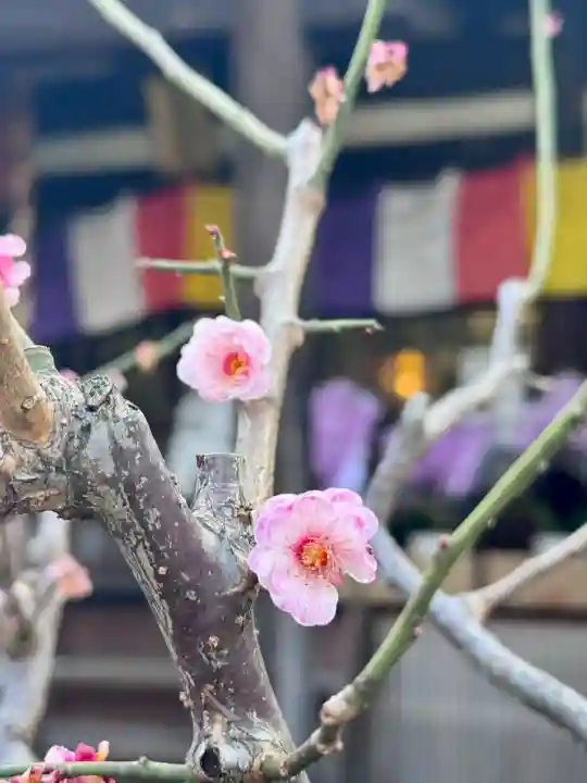 長建寺の{uncategorized: "未分類", other: "その他", undefined: "問題あり", building: "その他建物", grave: "お墓", sacred_gate: "鳥居", guardian: "狛犬", statue: "像", buddha: "仏像", history: "歴史", nature: "自然", garden: "庭園", animal: "動物", pagoda: "塔", temizu: "手水舎", mountain_gate: "山門・神門", sanctuary: "本殿・本堂", subordinate: "末社・摂社", art: "芸術", scenery: "景色", jizo: "地蔵", ema: "絵馬", goshuin: "御朱印", omikuji: "おみくじ", items: "授与品その他", amulet: "お守り", goshuincho: "御朱印帳", eats: "食事", festival: "お祭り", votive_dance: "神楽", shichigosan: "七五三参", wedding: "結婚式", experience: "体験その他", initially: "初詣", around: "周辺", anti_infection: "感染症対策"}