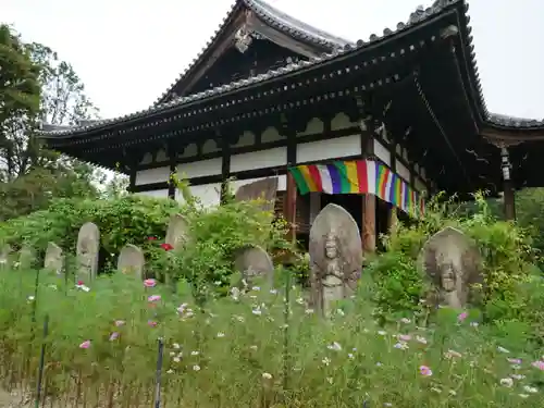 般若寺 ❁﻿コスモス寺❁の本殿・本堂