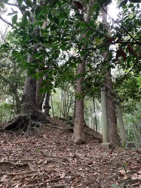 御嶽神社(千葉県)