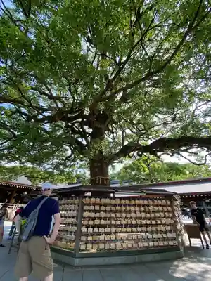 明治神宮(東京都)