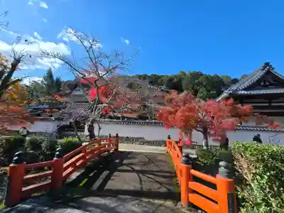 金剛寺(大阪府)