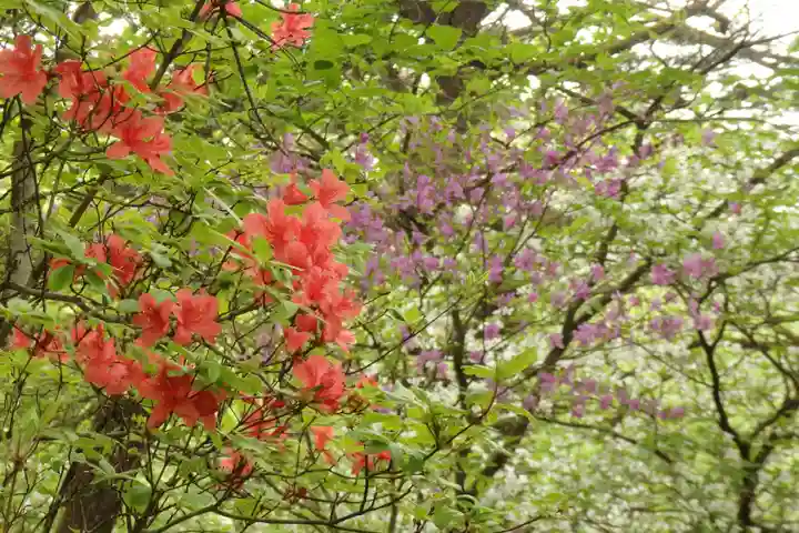 深山巴の宿の自然