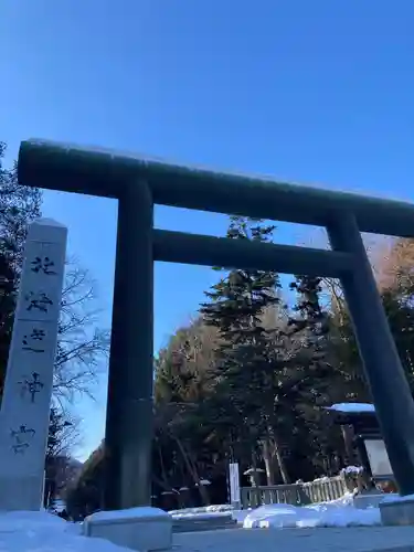 北海道神宮の鳥居