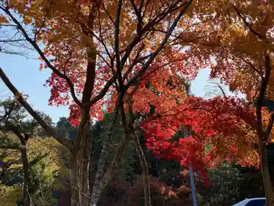 茨城縣護國神社(茨城県)