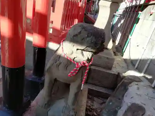 尼崎えびす神社の狛犬