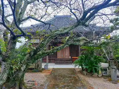 長照寺の本殿・本堂