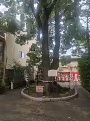 溝口神社(神奈川県)