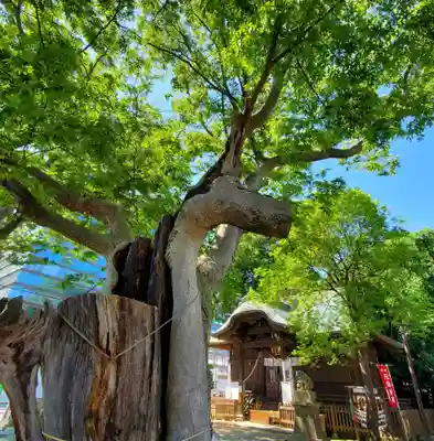 阿邪訶根神社(福島県)