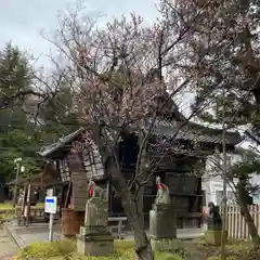 笠間稲荷神社の自然