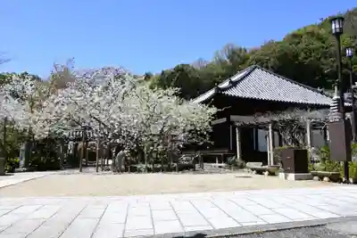 大宝寺(愛媛県)