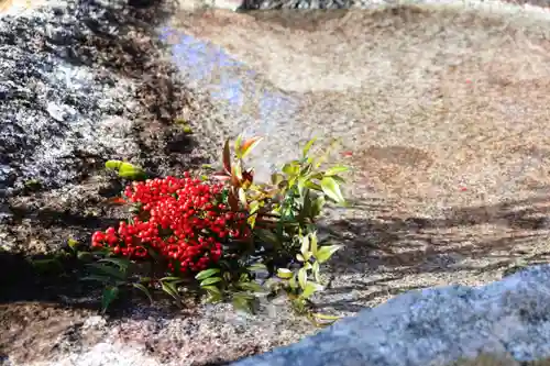 日枝神社の手水