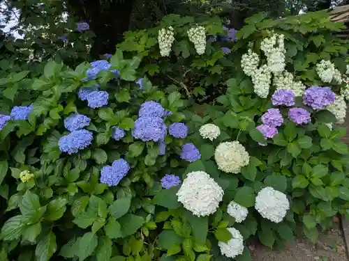 大宝八幡宮(茨城県)