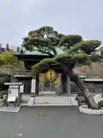 長谷寺の山門・神門